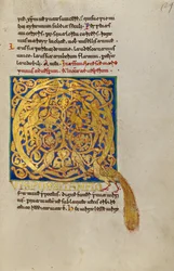 Bewohntes Initial Q